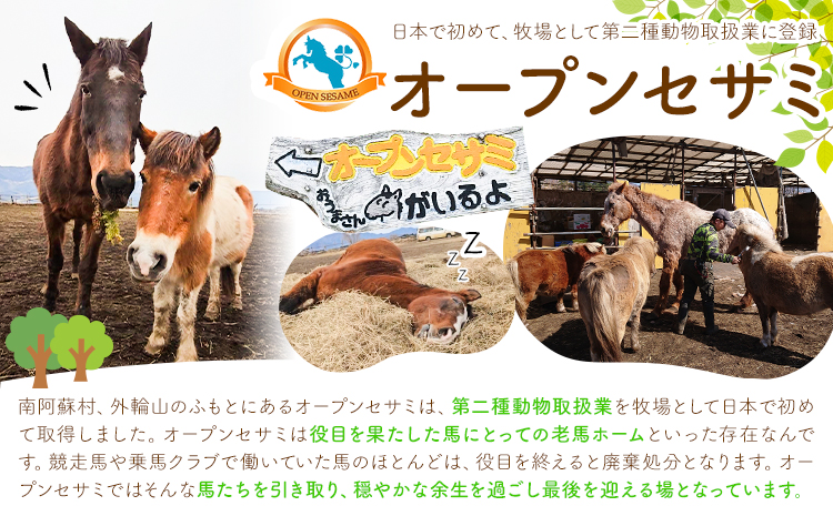 【返礼品なし】引退馬余生支援寄附 5,000円 一般社団法人オープンセサミアライブ 熊本県 南阿蘇村 馬 ウマ 支援 競走馬 引退馬 生活支援 動物愛護 保護 返礼品なし 寄附 牧場 オープンセサミ アニマルサンクチュアリ---sms_opumasien_r7_5000---