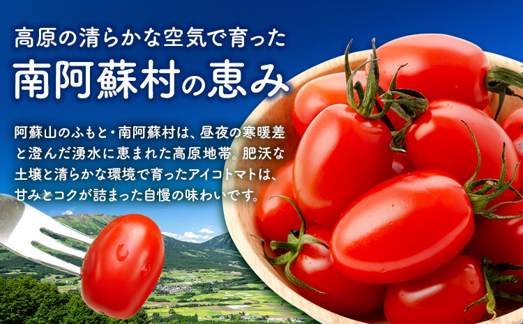 ミニトマト アイコ 約2kg ますだふぁーむ《7月上旬-11月末頃出荷》熊本県 南阿蘇村 アイコトマト 野菜 旬 夏野菜 トマト---sms_msf_af711_r7_11000_2kg---