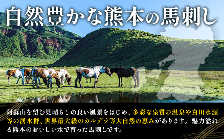 馬刺し赤身セット 200g 赤身50g × 4 馬刺し醤油5ml×4 株式会社ドクタージュ《30日以内に出荷予定(土日祝除く)》熊本県 南阿蘇村 熊本県産 熊本 馬刺し 赤身 送料無料---sms_fdcbsotk_30d_17000_200g---