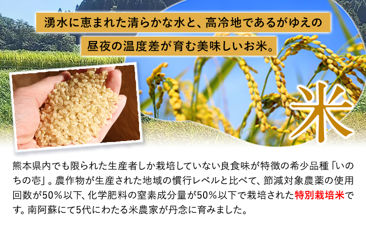 令和7年産 米 いのちの壱(白米) 10kg(5kg×2袋)  雑穀付《60日以内に出荷予定(土日祝除く)》熊本県 南阿蘇村 南阿蘇 虹色のかば---sms_inci6_60d_r7_33500_h10kg2---