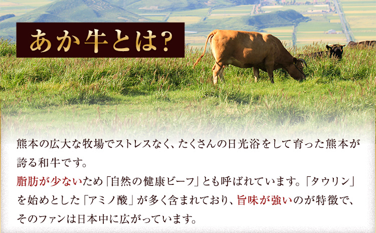 ステーキ 赤身 牛肉 サーロインステーキ 肉 あか牛 小分け 熊本県産 500g 赤牛《2026年1月中旬-3月末頃出荷》---mna_faksir_bc13_r7_13500_500g---