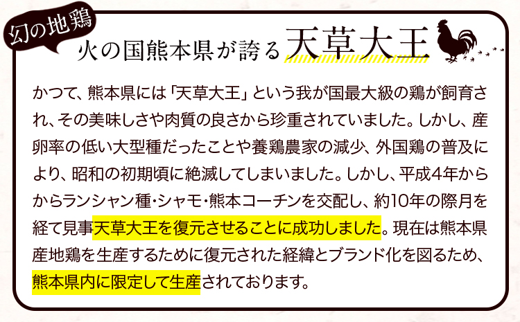 【幻の地鶏】天草大王 水炊き セット 大海水産株式会社《45日以内に出荷予定(土日祝除く)》地鶏 鶏肉---sms_fadmt_45d_r7_16000_1set---