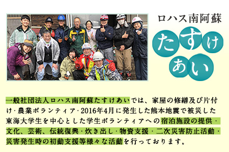 南阿蘇5年保存水 300ml×30本 ロハス南阿蘇たすけあい 《60日以内に出荷予定(土日祝除く)》---sms_rohasumizu_60d_r7_18500_9l---