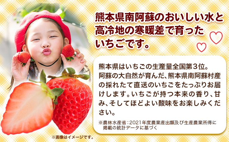 朝摘みいちご ゆめのか 280g×4パック 高地栽培 味采市場 《1月末-3月末頃より出荷予定》いちご 苺 イチゴ---sms_cajicgym_ec13_r7_12500_1120g---