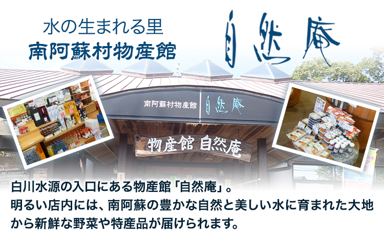 白川水源 ミネラルウォーター タンク式  20L×1ケース《30日以内に出荷予定(土日祝除く)》熊本県 南阿蘇村 物産館自然庵 水 ミネラルウォーター 飲料水 飲み水 南阿蘇---sms_sznmw_30d_r7_8000_1p---