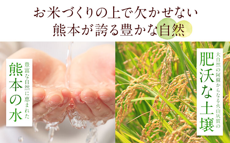 【隔月6回定期便】阿蘇びより 無洗米 15kg (5kg×3袋)《お申し込みの翌月から出荷》 ｜国産米 人気米 熊本県産米 お米---mna_abytei_15kg_201000_ev2mo6_m---