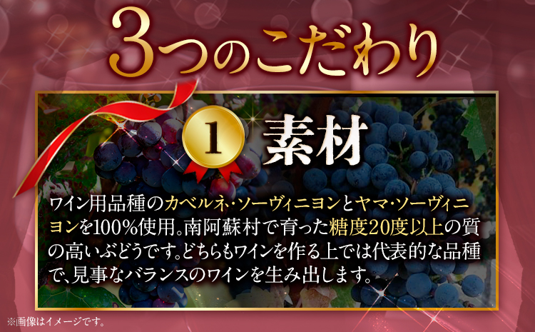 【3ヶ月定期便】南阿蘇村産ぶどう100%使用 赤ワイン RED cow 1本 750ml《お申込み月の翌月から出荷開始》熊本県 南阿蘇村 カベルネ・ソーヴィニヨン ヤマ・ソーヴィニヨン ワイン 酒 お酒 定期 計3回 お届け---sms_winecowtei_r7_37500_mo3num1---