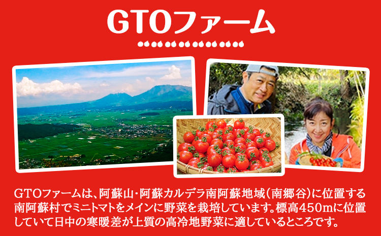 ぷりうまミニトマト 1.2kg (200g × 6袋) 破損保証約100g含む トマト ミニトマト 野菜 GTOファーム 熊本県 南阿蘇村《30日以内に出荷予定(土日祝除く)》---sms_cgtomtmt_30d_r7_13000_1200g---