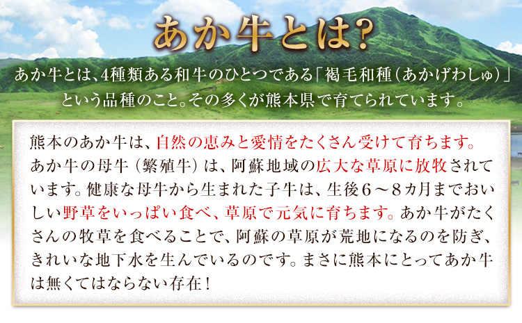 熊本県産あか牛ローストビーフ500g×2個《30日以内に出荷予定(土日祝除く)》熊本県産 熊本 国産牛 1kg 牛肉 国産牛 あか牛 ローストビーフ 1kg---mna_frstbf_30d_r7_32000_1kg---
