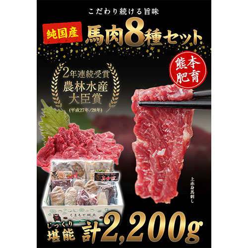 純国産馬肉8種セット 計2200g 熊本肥育 2年連続農林水産大臣賞受賞 馬刺し《60日以内に出荷予定(土日祝除く)》---mna_fba8syu_60d_r7_25000_2200g---