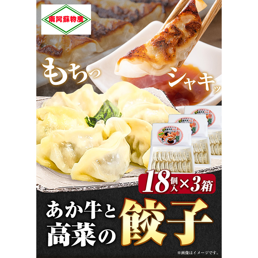 あか牛と高菜の餃子 18個入り×3箱 南阿蘇物産センター《30日以内に出荷予定(土日祝除く)》---sms_fautkngz_30d_r7_13500_46p---