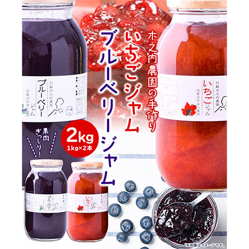 果実ぎっしり！木之内農園の手作りいちごジャムとブルーベリージャム 2kg《30日以内に出荷予定(土日祝除く)》---isms_kinonstbb_30d_r7_15500_2kg---