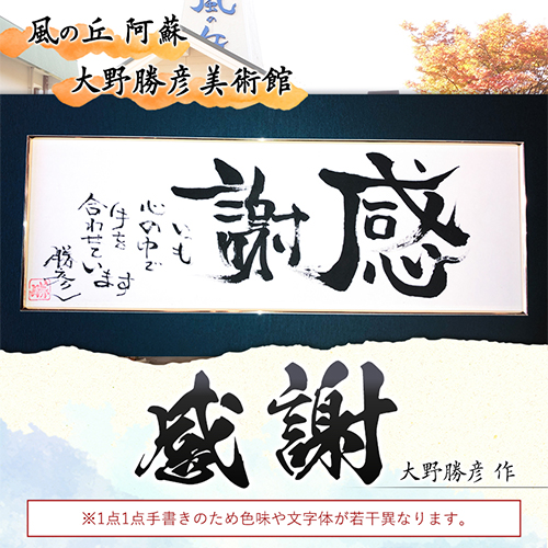 大野勝彦 短冊額『感謝』文字 風の丘阿蘇大野勝彦美術館《60日以内に出荷予定(土日祝除く)》美術館 詩---sms_okmtzg6_60d_r7_167000_1p---