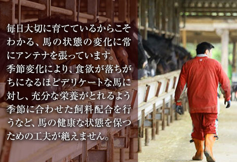 大トロ馬刺し(50g)中トロ(霜降り)馬刺し(50g)食べ比べコース【純国産熊本肥育】《30日以内に出荷予定(土日祝除く)》---mna_fjs08_30d_r7_10000---