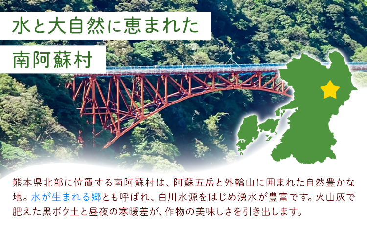 有機JAS認定 オーガニック さつまいも 5kg 農園ベルの樹《12月上旬-3月下旬頃出荷》熊本県 南阿蘇村 さつまいも オーガニック 有機栽培 薩摩芋---sms_blkost_ak123_r7_11500_5kg---