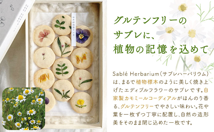 Sable Herbarium 12枚入り 料理研究舎リンネ《30日以内に出荷予定(土日祝除く)》熊本県 南阿蘇村 サブレハーバリウム サブレ グルテンフリー 米粉 エディブルフラワー カモミール クッキー 焼菓子 焼き菓子 お菓子 贈り物 プレゼント ギフト---mna_rkrsahebrm_r7_30d_8000_12p---