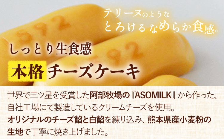 濃厚生チーズケーキ 1592 ヒゴクニ 6個入り 古今堂 《30日以内に出荷予定(土日祝除く)》 熊本県 南阿蘇村 チーズケーキ チーズ ひごくに お菓子 スイーツ---sms_kkinczk_30d_r7_7500_6i---