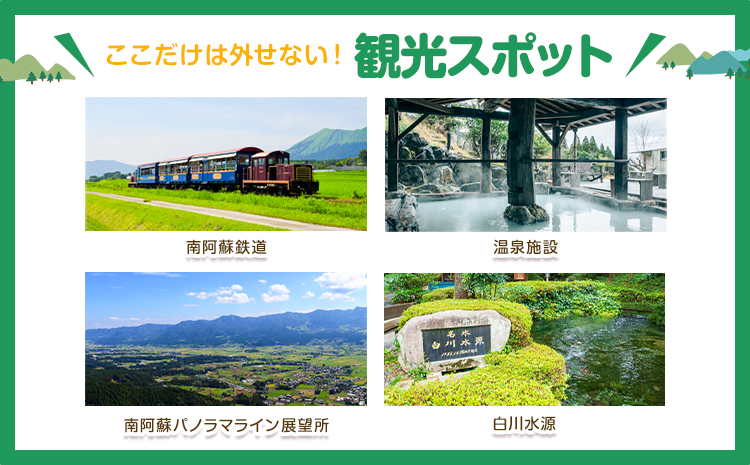 熊本県 南阿蘇村 日本旅行 地域限定旅行クーポン 90,000円《寄付翌月末を目途に付与いたします》---isms_nhnrk_60d_r7_300000_9man---