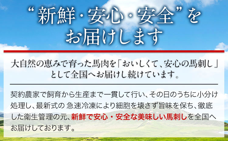 国産上赤身馬刺し 400g 南阿蘇L（阿蘇牧場） 醤油4袋《60日以内に出荷予定(土日祝除く)》---sms_fmfjakb_60d_25_17000_400g---