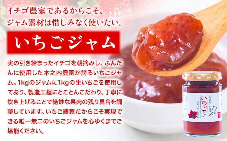 木之内農園の手作りジャム　3種食べ比べセット 150g×3本 《30日以内に出荷予定(土日祝を除く)》 熊本県南阿蘇村 ジャム いちご ブルーベリー 晩白柚 不知火 デコ 苺 大粒 乗せるジャム---isms_kinojibd_30d_r7_8500_3p---