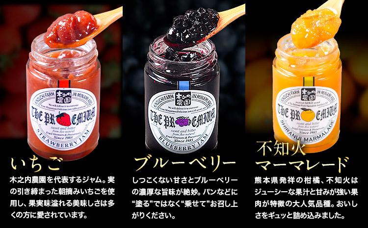 阿蘇 木之内農園 プレミアムシリーズ 5本セット 1本 150g×5 いちご ブルーベリー 不知火マーマレード はるかマーマレード 不知火ハーブマーマレード《30日以内に出荷予定(土日祝を除く)》 熊本県 南阿蘇村 ジャム スイーツ ギフトセット 送料無料---isms_kinojpfg_30d_r7_14500_5p---
