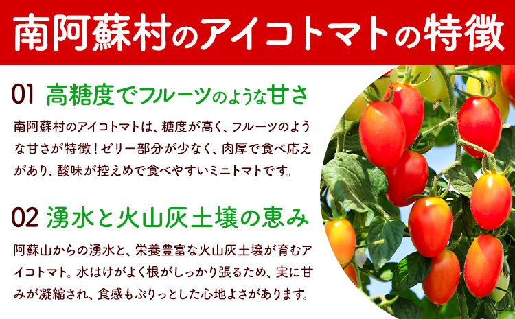 ミニトマト アイコ 約2kg ますだふぁーむ《7月上旬-11月末頃出荷》熊本県 南阿蘇村 アイコトマト 野菜 旬 夏野菜 トマト---sms_msf_af711_r7_11000_2kg---