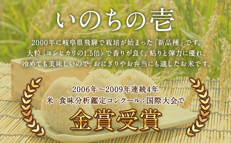 令和7年産 米 いのちの壱(玄米) 10kg 5kg×2 雑穀米 付《60日以内に出荷予定(土日祝除く)》熊本県 南阿蘇村 南阿蘇 虹色のかば---sms_inci6_60d_r7_30000_g10kg2---