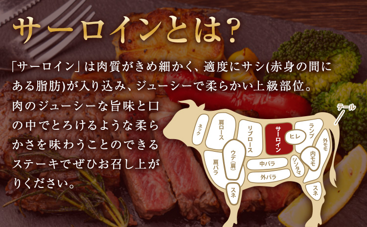 ステーキ 赤身 牛肉 サーロインステーキ 肉 あか牛 小分け 熊本県産 500g 赤牛《2026年1月中旬-3月末頃出荷》---mna_faksir_bc13_r7_13500_500g---