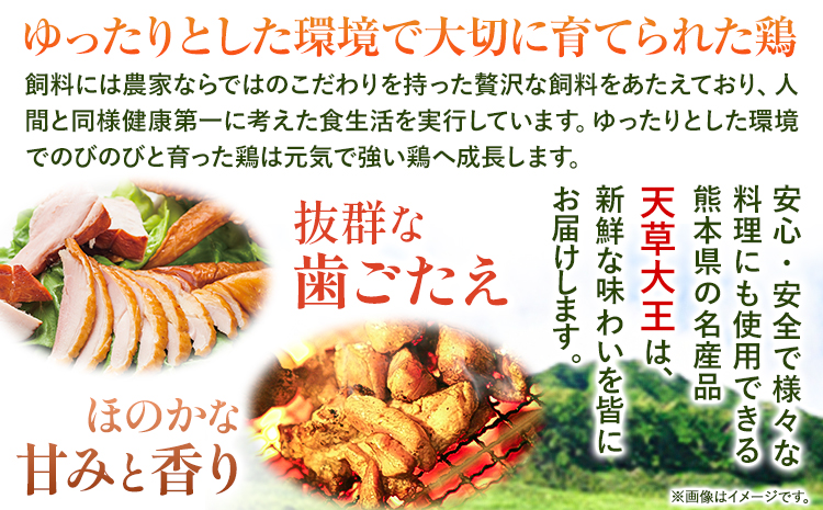 【幻の地鶏】天草大王大手羽セット ４本入り 約650g以上 大海水産株式会社《45日以内に出荷予定(土日祝除く)》地鶏 ---sms_fadotb_45d_r7_11500_650g---