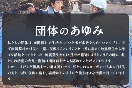 南阿蘇5年保存水 300ml×30本 ロハス南阿蘇たすけあい 《60日以内に出荷予定(土日祝除く)》---sms_rohasumizu_60d_r7_18500_9l---