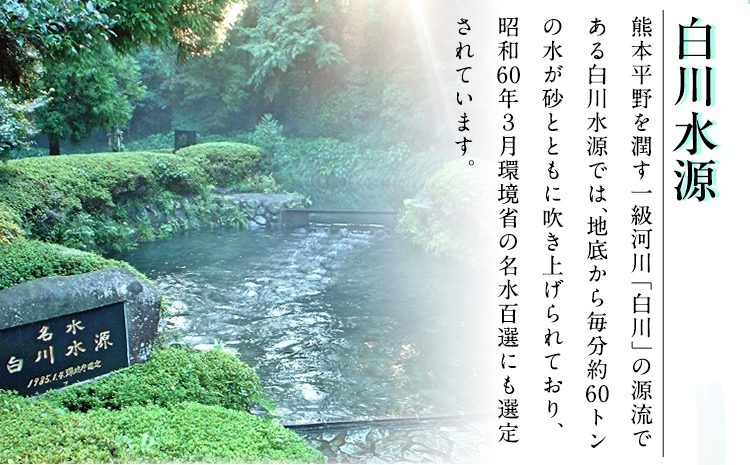 【12ヶ月定期便(2ヶ月ごと発送：計6回)】日本名水百選ミネラルウォーター「南阿蘇・白川水源」定期便12ヶ月 (2ヶ月ごと発送：計6回) 2L×6本入2ケース《申込み翌月から発送》熊本県 南阿蘇村 物産館自然庵 水 ミネラルウォーター---sms_szmwtei_r7_67000_24p_ev2mo6---