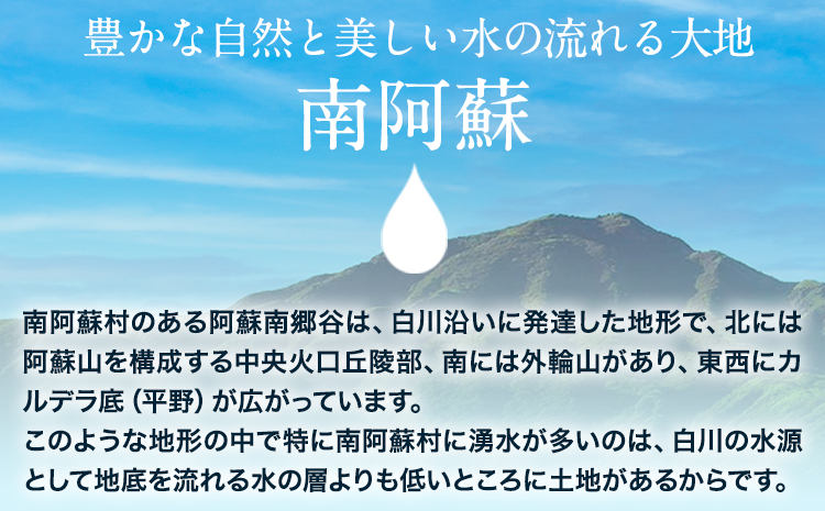 白川水源 ミネラルウォーター タンク式  20L×1ケース《30日以内に出荷予定(土日祝除く)》熊本県 南阿蘇村 物産館自然庵 水 ミネラルウォーター 飲料水 飲み水 南阿蘇---sms_sznmw_30d_r7_8000_1p---