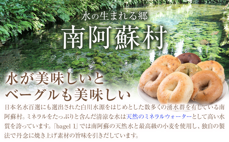 阿蘇の天然水使用 ベーグルセット 7種 10個入 ベーグル・ワン《30日以内に出荷予定(土日祝除く)》熊本県 南阿蘇村 ベーグル パン おやつ 送料無料---sms_fbg1bgset_30d_r7_10500_10p---