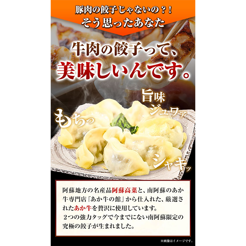 あか牛と高菜の餃子 18個入り×3箱 南阿蘇物産センター《30日以内に出荷予定(土日祝除く)》---sms_fautkngz_30d_r7_13500_46p---