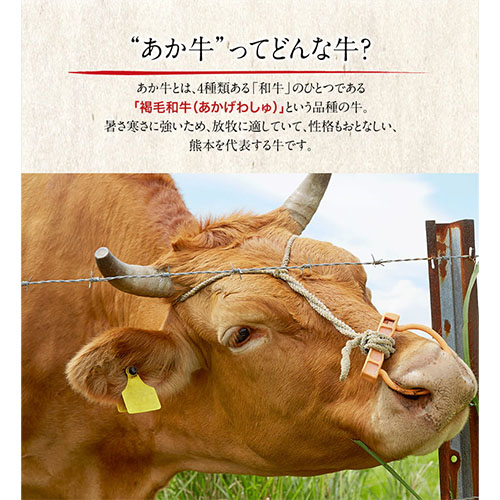 くまもとあか牛 すき焼き用 400g 南阿蘇L（阿蘇牧場）《90日以内に出荷予定(土日祝除く)》熊本県 すき焼き 牛肉 肉 あか牛 赤牛---sms_fkmkgsk_90d_r7_17000_400g---