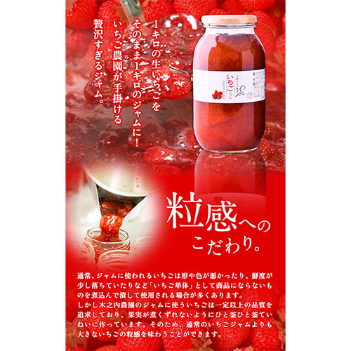 果実ぎっしり！木之内農園の手作りいちごジャムとブルーベリージャム 2kg《30日以内に出荷予定(土日祝除く)》---isms_kinonstbb_30d_r7_15500_2kg---
