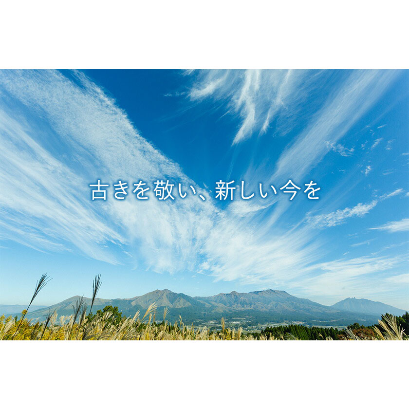 濃厚生 チーズケーキ 1592 ヒゴクニ 16個入り 古今堂 《30日以内に出荷予定(土日祝除く)》---sms_kkinczk_30d_r7_12500_16i---