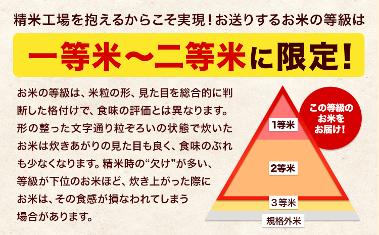 新米 令和7年産 【隔月6回定期便】 こしひかり 15kg 白米 精米 熊本県産(南阿蘇村産含む) 単一原料米 南阿蘇村 産 米 定期便《お申込月の翌月から出荷開始》---kh7tei_219000_15kg_ev2mo6_mna_h---