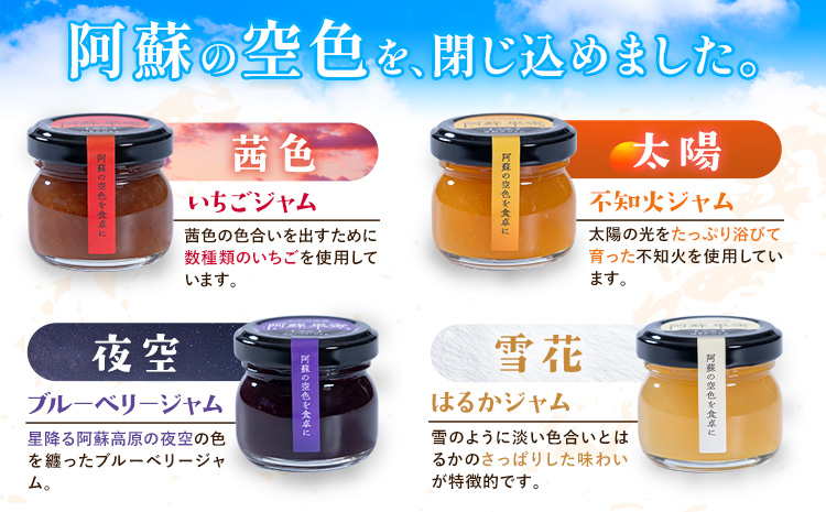 阿蘇果蜜ジャム4種セット 35g×4本 木之内農園 ジャム《30日以内に出荷予定(土日祝を除く)》 熊本県南阿蘇村 ジャム いちご ブルーベリー はるか 不知火 苺 大粒 乗せるジャム---isms_kinoaskmt_30d_r7_7000_4p---