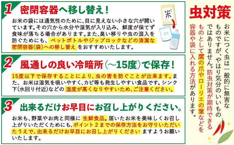 無洗米 訳あり 20kg (5kg×4袋) 熊本県産 阿蘇びより《7-14日以内に出荷予定(土日祝除く)》 お米 熊本県 南阿蘇村 阿蘇---mna_aby_r7_m_20kg_44500_wx--- 20kg (5kg×4袋)