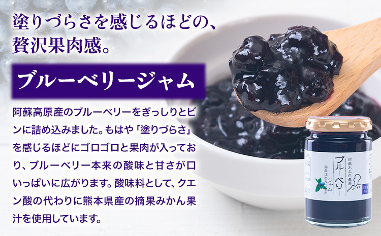 木之内農園の手作りジャム　3種食べ比べセット 150g×3本 《30日以内に出荷予定(土日祝を除く)》 熊本県南阿蘇村 ジャム いちご ブルーベリー 晩白柚 不知火 デコ 苺 大粒 乗せるジャム---isms_kinojibd_30d_r7_8500_3p---