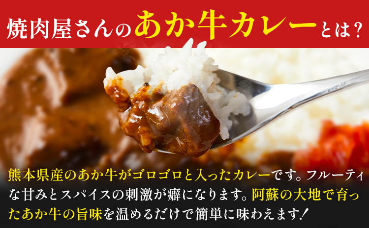 焼肉屋さんのあか牛カレー 600g (200g×3食) 白水乃蔵《30日以内に出荷予定(土日祝除く)》 あかうし 赤牛 あか牛 牛 カレー 南阿蘇村 肉---sms_fhakkr_30d_r7_14500_3p---