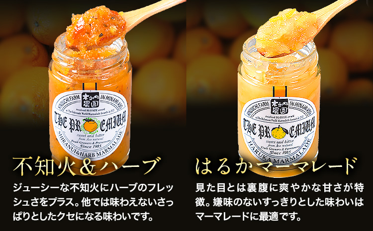 阿蘇 木之内農園 プレミアムシリーズ 5本セット 1本 150g×5 いちご ブルーベリー 不知火マーマレード はるかマーマレード 不知火ハーブマーマレード《30日以内に出荷予定(土日祝を除く)》 熊本県 南阿蘇村 ジャム スイーツ ギフトセット 送料無料---isms_kinojpfg_30d_r7_14500_5p---