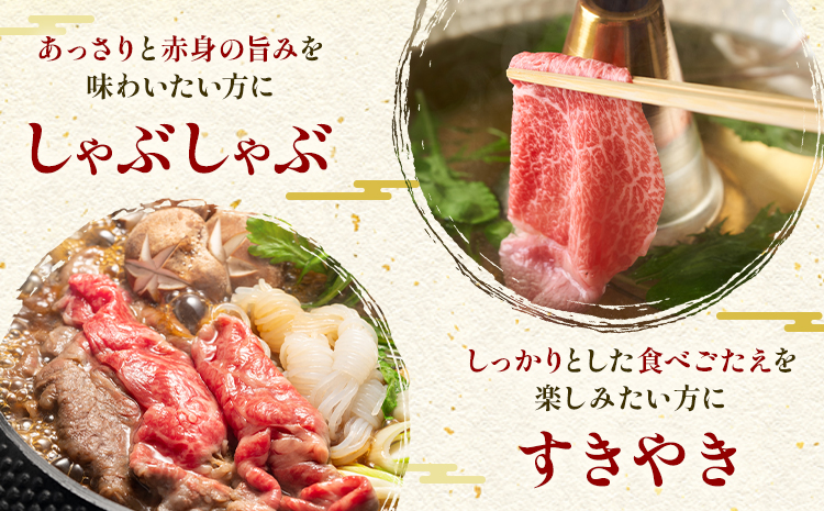 あか牛肩ロース しゃぶしゃぶ・すきやき用 500g 株式会社ドクタージュ《30日以内に出荷予定(土日祝除く)》熊本県 南阿蘇村 熊本県産 あか牛 肩ロース しゃぶしゃぶ すきやき すき焼き 牛肉---sms_fdcaksy_30d_20000_500g---