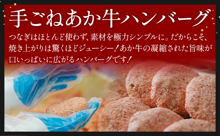 阿蘇あか牛入り 手ごねハンバーグ10個（150g×10個） 白水乃蔵《30日以内に出荷予定(土日祝除く)》 あかうし 赤牛 冷凍---sms_fhaktghg_30d_r7_14000_10k---