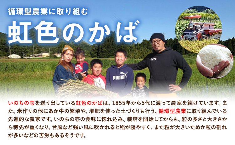 令和7年産 米 いのちの壱(白米)5kg 雑穀米 付き《60日以内に出荷予定(土日祝除く)》熊本県 南阿蘇村 南阿蘇 虹色のかば---sms_inci6_60d_r7_17500_h5kg---