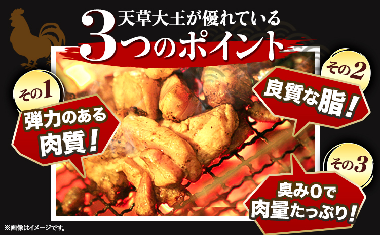 【幻の地鶏】天草大王大手羽セット ４本入り 約650g以上 大海水産株式会社《45日以内に出荷予定(土日祝除く)》地鶏 ---sms_fadotb_45d_r7_11500_650g---