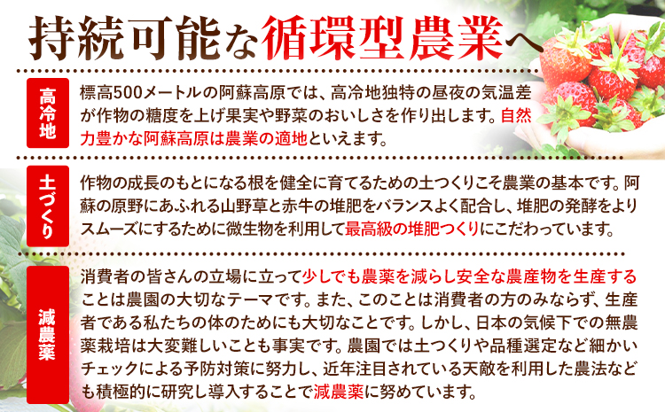 果実ぎっしり！木之内農園の手作りいちごジャム 2kg《30日以内に出荷予定(土日祝除く)》いちご ---isms_kinonsb_30d_r7_15500_2kg---