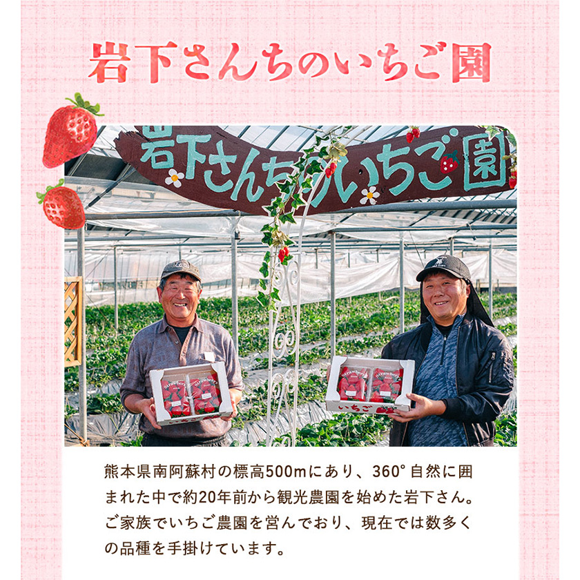 アイス 岩下さんちの いちご 園 ミルフィーユ アイス 2000ml 熊本県 南阿蘇《60日以内に出荷予定(土日祝除く)》---isms_fiwmfyais_60d_r7_16500_2l---