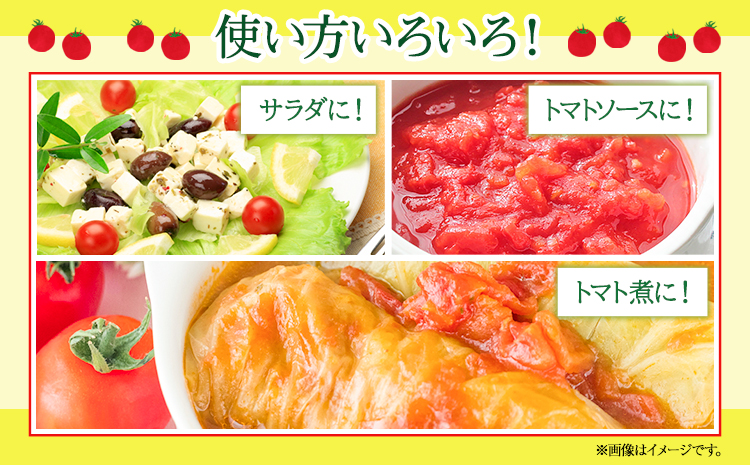 ぷりうまミニトマト 1.2kg (200g × 6袋) 破損保証約100g含む トマト ミニトマト 野菜 GTOファーム 熊本県 南阿蘇村《30日以内に出荷予定(土日祝除く)》---sms_cgtomtmt_30d_r7_13000_1200g---